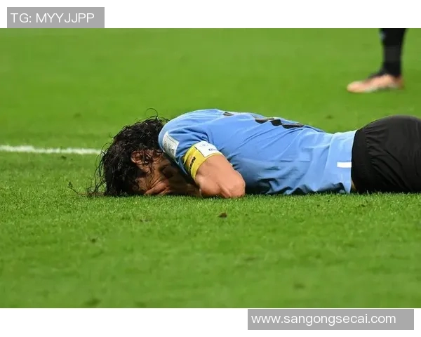 重温90年代喀麦隆足球明星的辉煌岁月与传奇故事