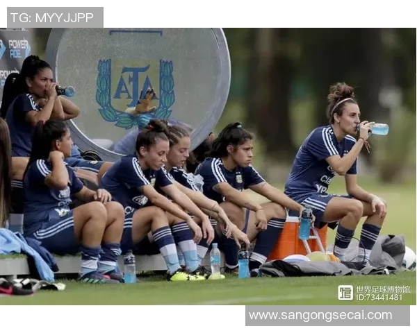 收养足球明星的家庭数量及其背后的故事探讨