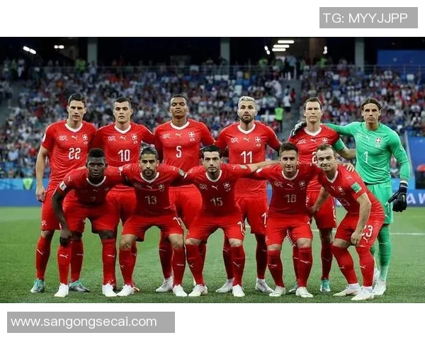 北爱尔兰与匈牙利足球对决全面分析及战术解析