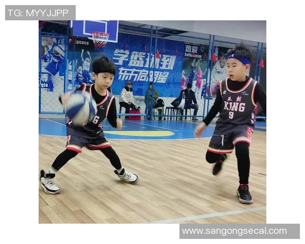 东方启明星篮球的具体位置及交通指南详解