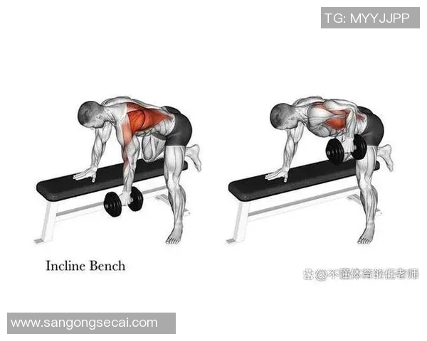女性哑铃锻炼方法全解析打造完美身材的必备指南